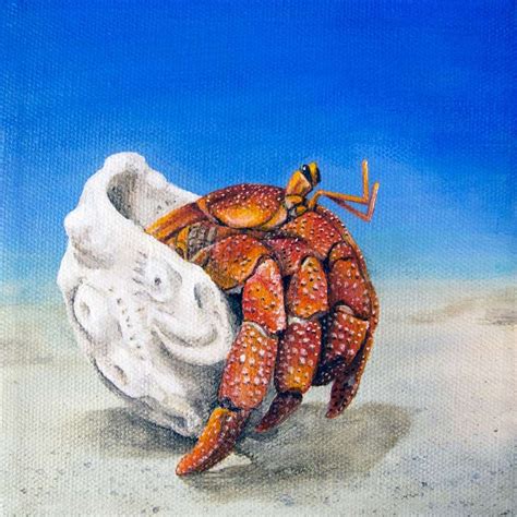 Image result for crabs paintings | Crab art, Crab, Hermit crab