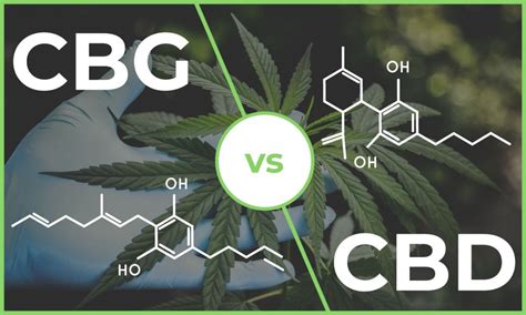 What is CBG vs CBD?