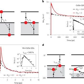 Auger recombination and impact ionization in undoped and Mn-doped ...