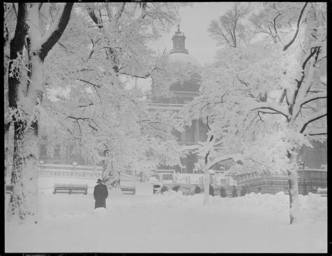 Boston Common in winter | Boston history, Boston common, Winter in boston