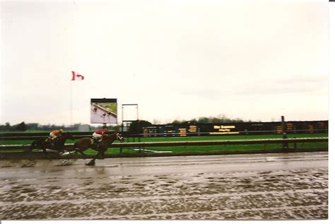 Keeneland Race Track: The race is on! - Race Horses Photo (4310570 ...