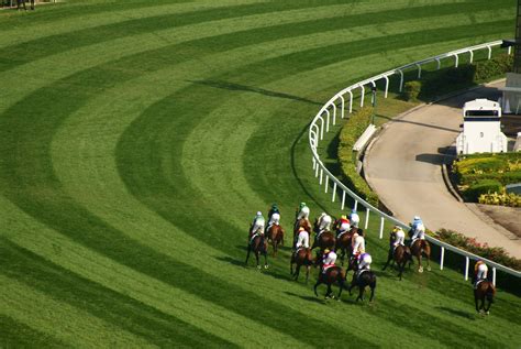 Sha Tin races | Sha Tin Racecourse, Cathay Pacific Hong Kong… | Flickr