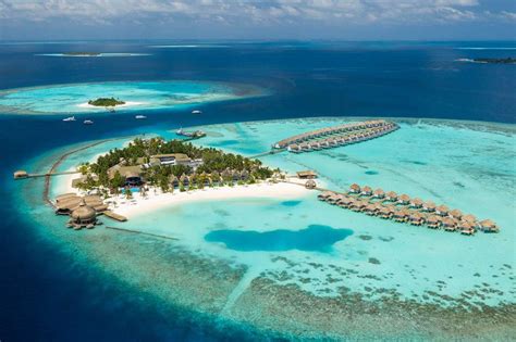 Negociar Diálogo playa paquetes para las islas maldivas protesta ...