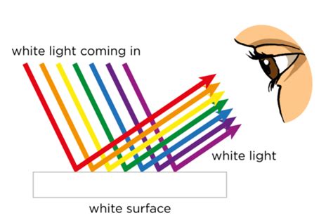 Name Of Transparent Translucent And Opaque Objects in 2022 | Opaque, Translucent, Science and nature