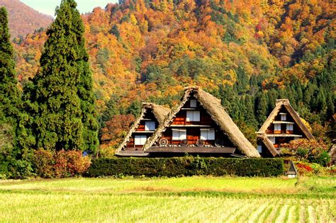 Shirakawago: Best Time to Visit - Japan Web Magazine