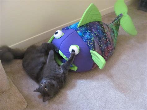 Jar of Laughs: Fish Bed for Cats