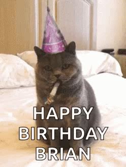 Happy Birthday Brian Cat GIF - Happy Birthday Brian Cat - Discover & Share GIFs