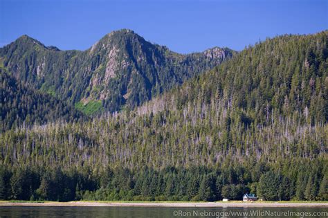 Tongass National Forest | Photos by Ron Niebrugge