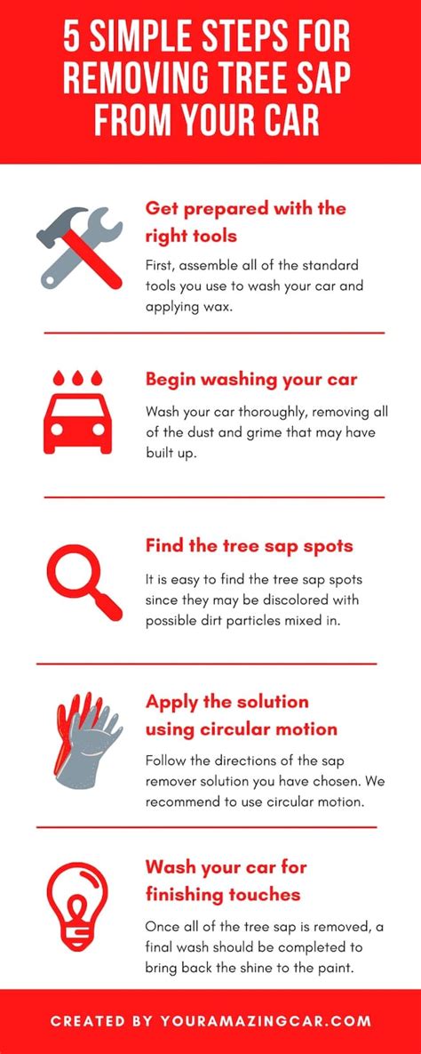 How to Remove Tree Sap From a Car? [5 Top Products & Tips]