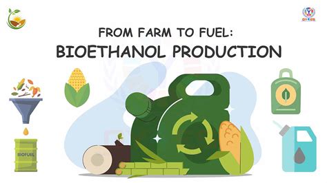 Bioethanol Production: From Farm to Fuel