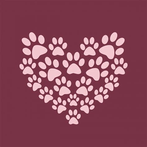 Dog Paws Wallpaper (41+ images)