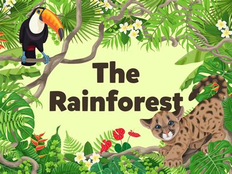 The Rainforest Free Games online for kids in Nursery by Kids Dailies