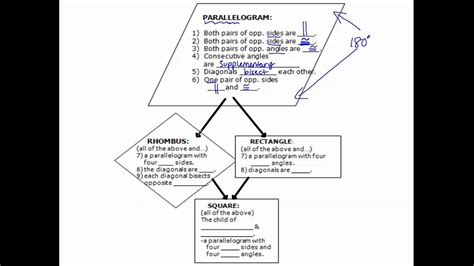 Quadrilateral Tree Diagram