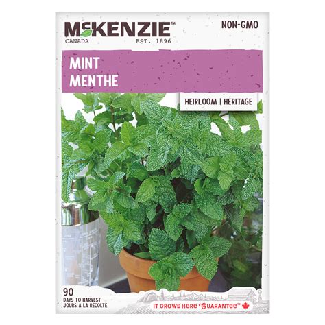 Buy Mint Herb Seed Online | McKenzie Seeds