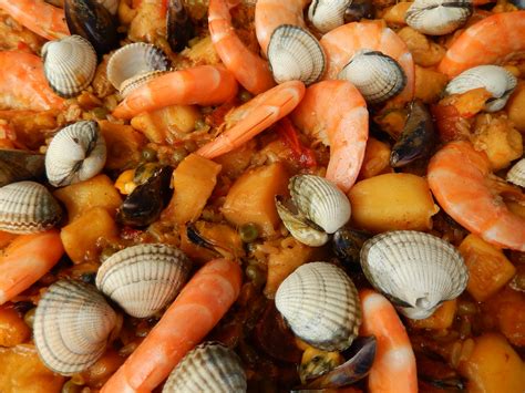 Free Images : dish, food, produce, cuisine, invertebrate, clam, shrimp ...