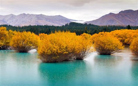 South Island, New Zealand wallpaper | nature and landscape | Wallpaper Better