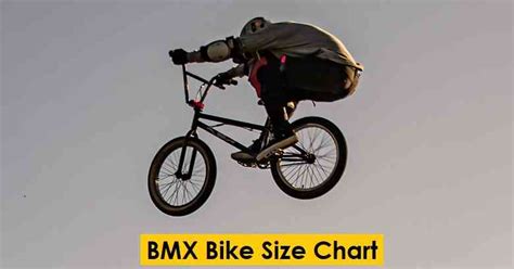 BMX Bike Size Chart: What Size Do I Need? (For Adults & Kids)