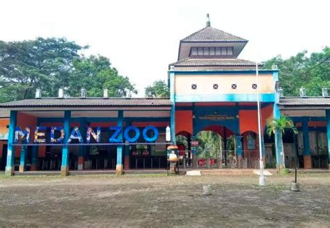 Medan Zoo Kembali Dibuka pada 5 Juli 2020, Guys! | urbanasia.com