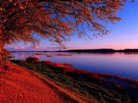 Latvia | Cool pictures of nature, Sunset, Nature