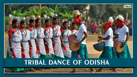 tribal-dance-of-odisha | OdiaLive