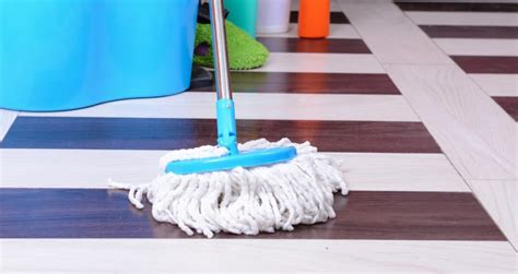 Can You Put Floor Cleaner in a Steam Mop | Clean linoleum floors, Floor ...