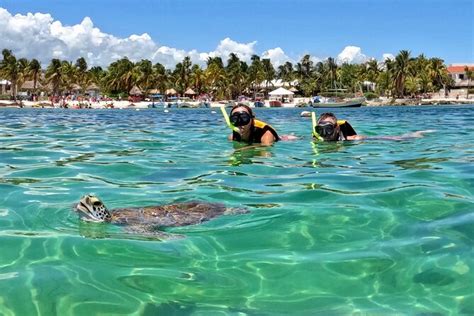 Akumal; Snorkeling and Photos with Turtles 2024 - Playa del Carmen