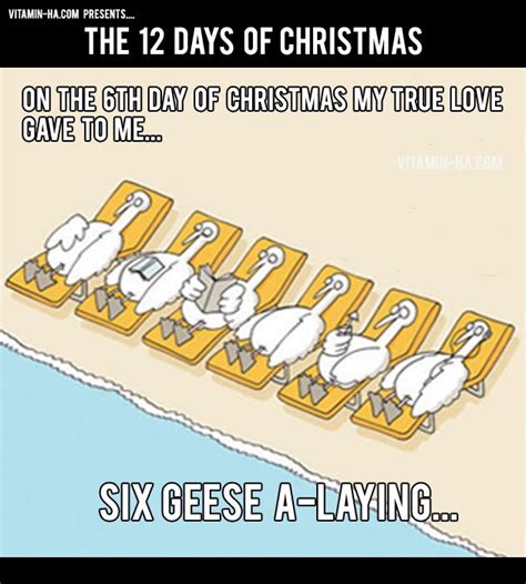 Funny 12 Days Of Christmas | Christmas cartoons, Christmas jokes, 12 ...