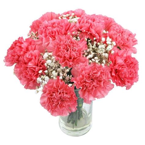 Pink Carnations - Flower delivery brought to you by Clare Florist.