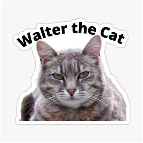 "Walter The Cat" Sticker by sojasquest2 | Redbubble