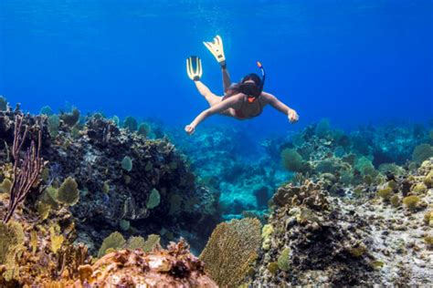 The Best Turks and Caicos Snorkeling | Visit Turks and Caicos Islands