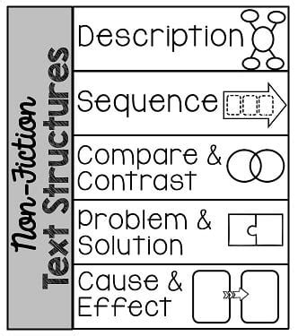 Text Organization Graphic Organizer - FerisGraphics