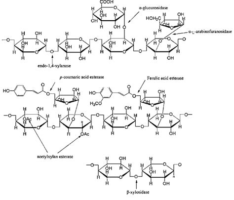 Hemicellulose Chemical Formula