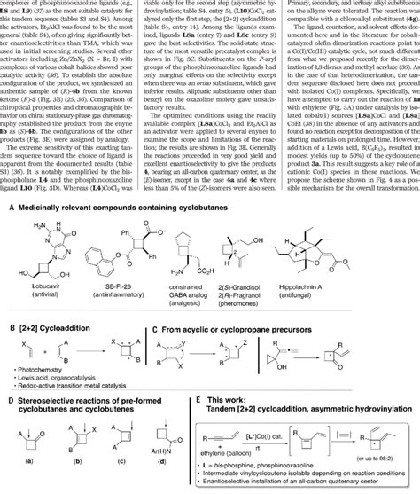 Background for asymmetric cyclobutane synthesis. (A) Cyclobutanes in ...