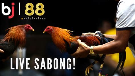 Delve into the world of sabong wagering strategies and techniques at BJ88 Philippines. - Sabong ...