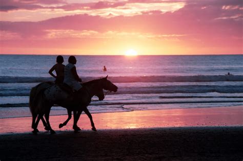 Top 5 Beaches for Horseback Riding | Drive The Nation