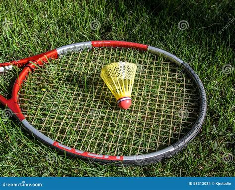 Badminton Birdie in the Green Grass Stock Photo - Image of health, hobby: 58313034