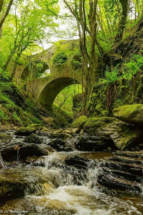 Craigmin Bridge, Moray | Landschap, Schotland, Engeland