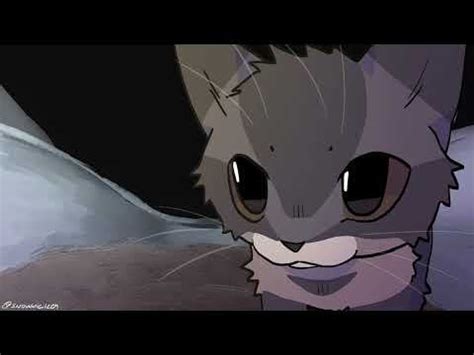 chipi chipi chapa chapa Animated 1 HOUR : r/catvideos