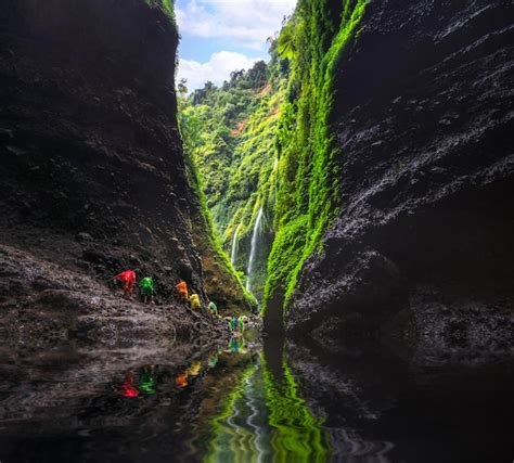 Premium Photo | Asian traveller man in madakaripura waterfall java ...