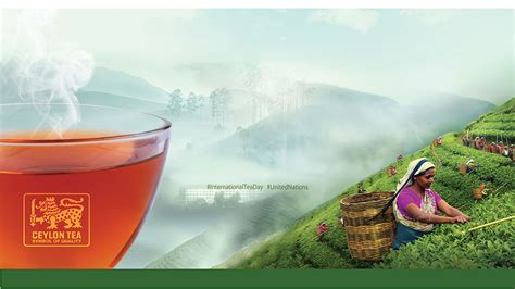 Ceylon Tea - World's Finest Tea from Sri Lanka Official Site