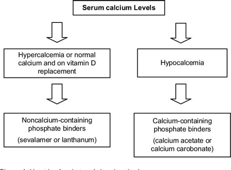 [PDF] Optimal management of hyperphosphatemia in end-stage renal disease: an Indian perspective ...