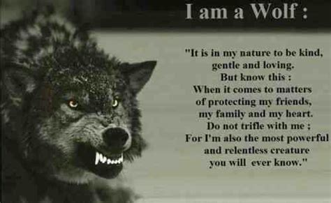 Funny Quotes With Wolves. QuotesGram