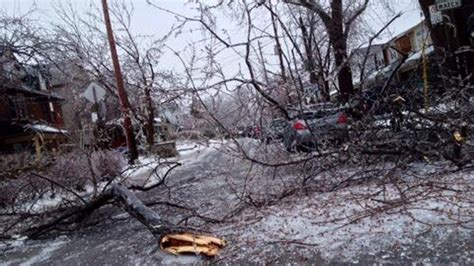 Ice storm knocks down trees, power lines in Toronto | CTV News