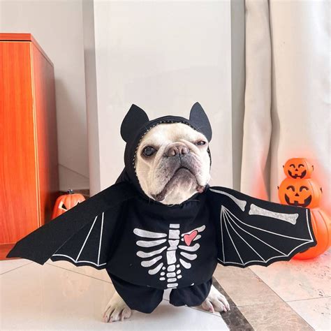 Dog Bat Costume – Frenchiely