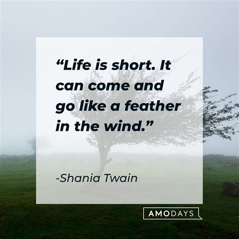 72 Quotes about the Wind to Help You Decide Which Way to Blow