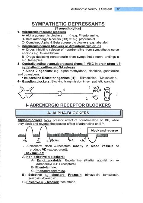 Rilmenidine - II· Auto n o m i c Nervous System '- 85 -' SYM PATH ETI C ...