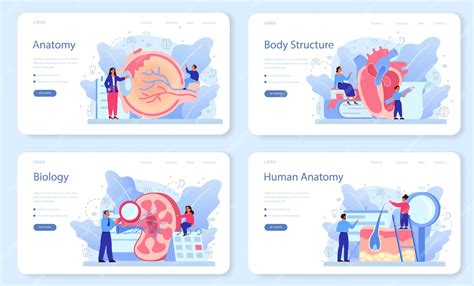 Premium Vector | Anatomy school subject web banner or landing page set. internal human organ ...