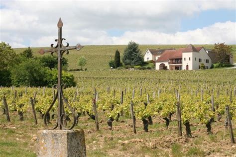 Loire Valley Wine Tour - Day Tours (Chabris): All You Need to Know