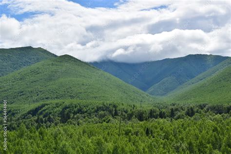 Green hills with dense forest. Low gray-white clouds. The Sikhote-Alin ...