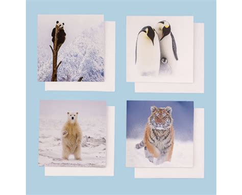 Free WWF Christmas Cards Pack – UKPrize